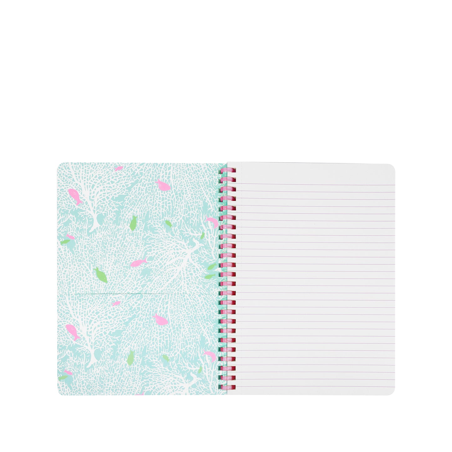 Mini Notebook - Shelden Shells