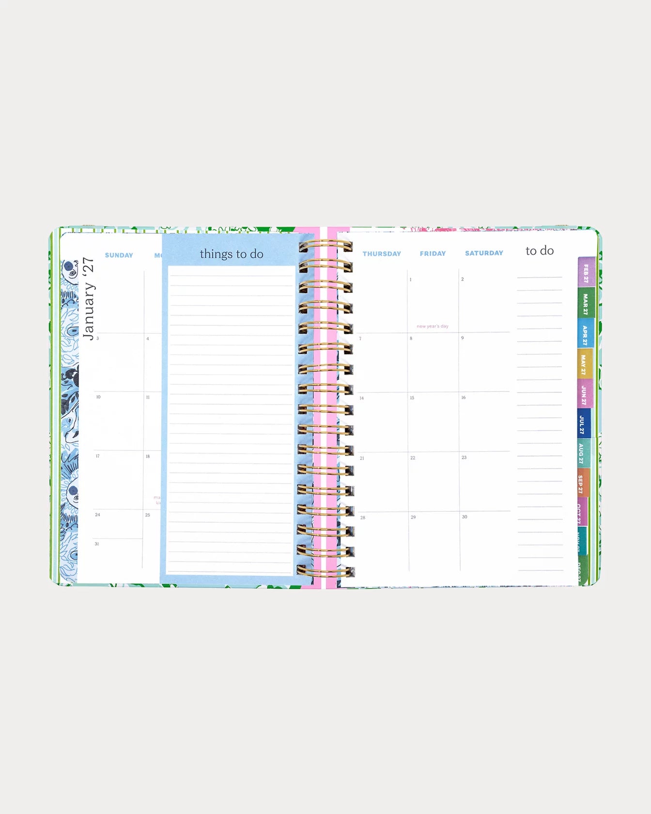2026-2027 17 Month Large Agenda - Mint Condition Burst of Joy