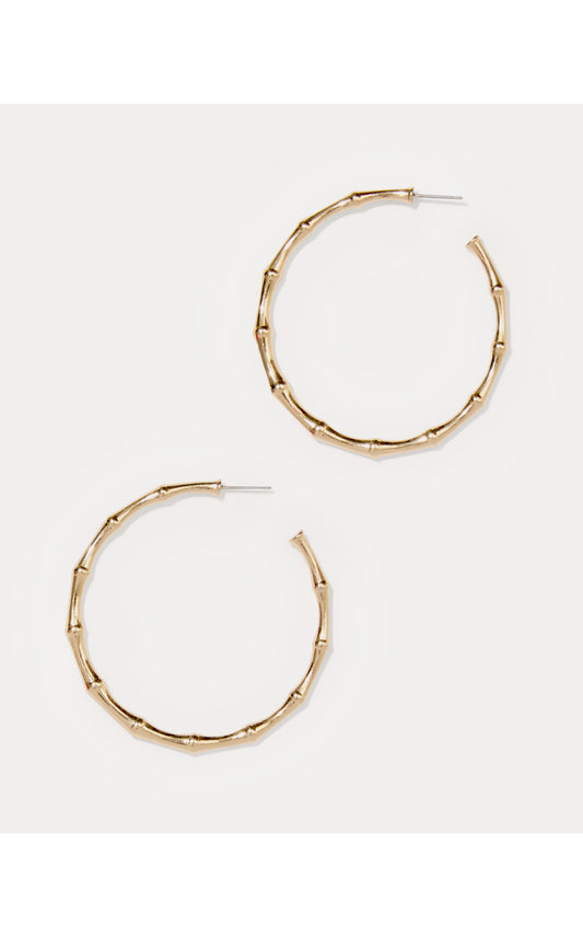 Bamboo Forest Hoop Earrings - Gold Metallic