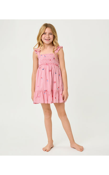 Mini Hadly Dress - Paradise Punch Its A 250th Celebration Stripe