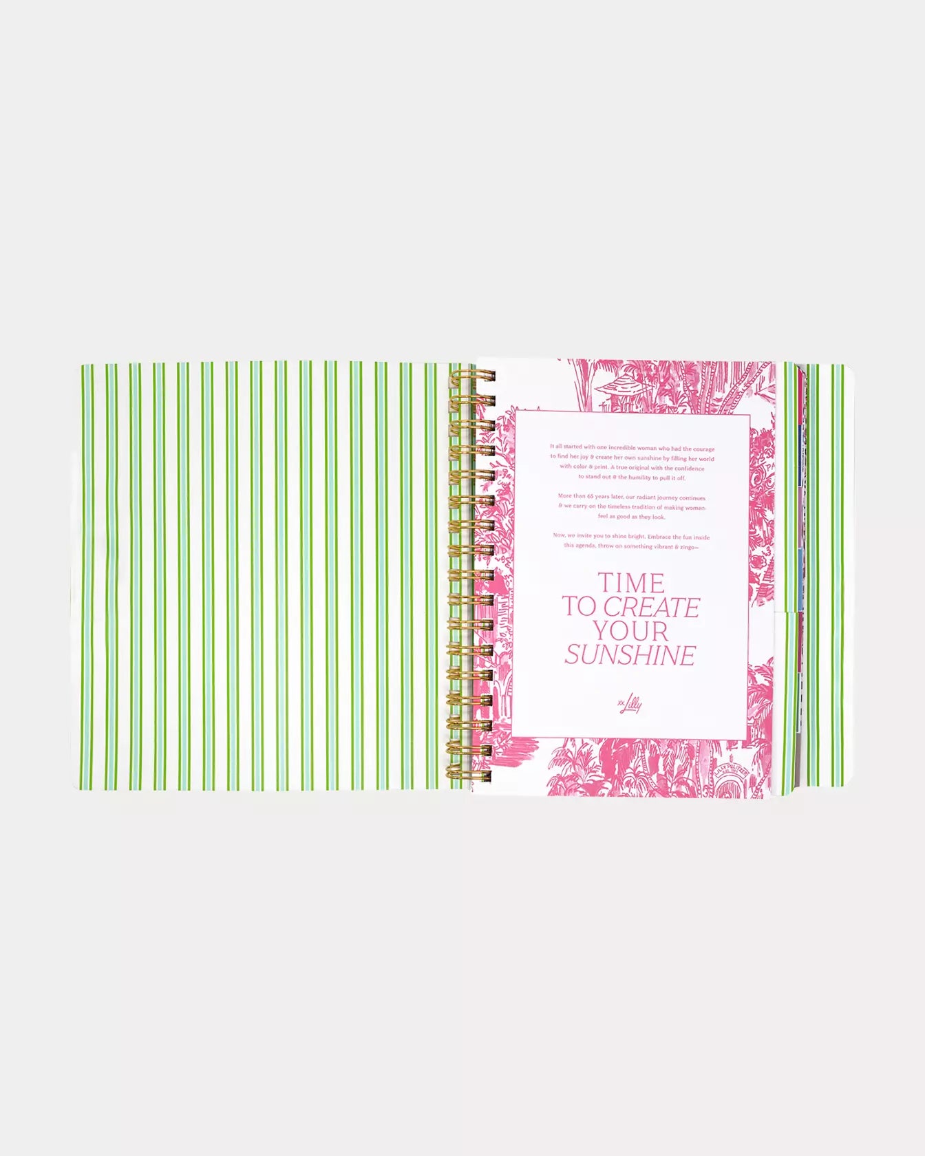 2026-2027 17 Month Leatherette Agenda - Mint Condition  Burst of Joy