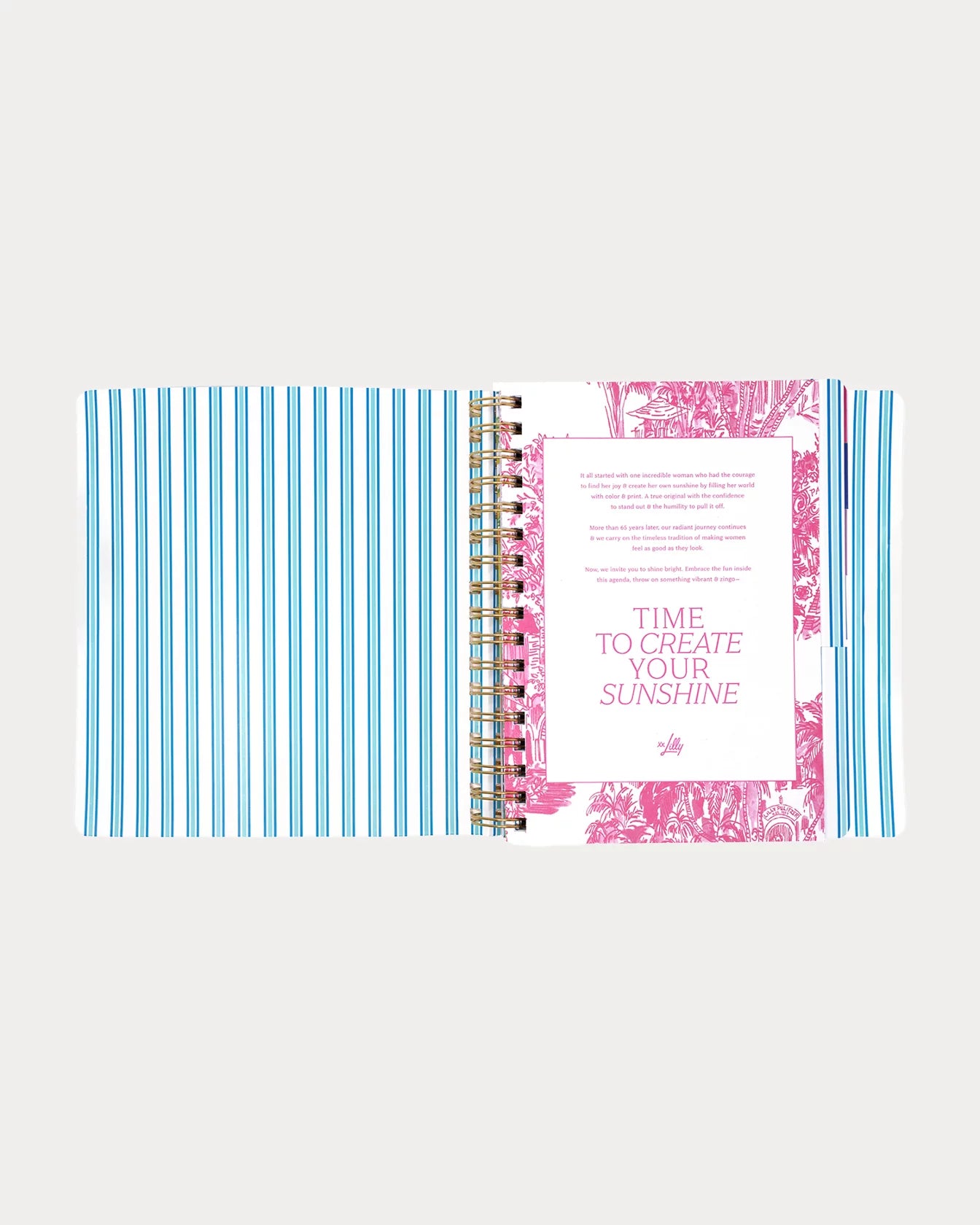 2026-2027 17 Month Leatherette Agenda - Shell Shine