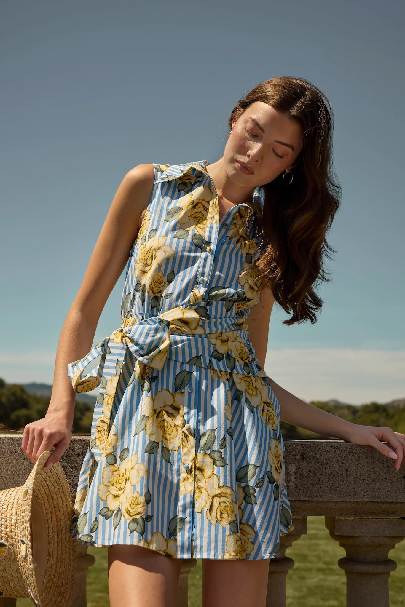 Biltmore Dress - Blue/Yellow Multi Striped Ground Spacious Rose