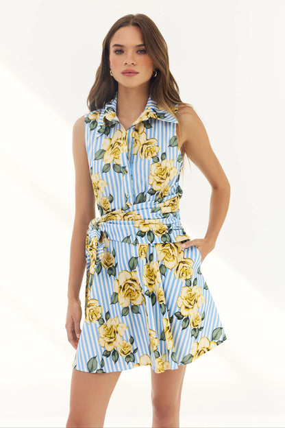 Biltmore Dress - Blue/Yellow Multi Striped Ground Spacious Rose