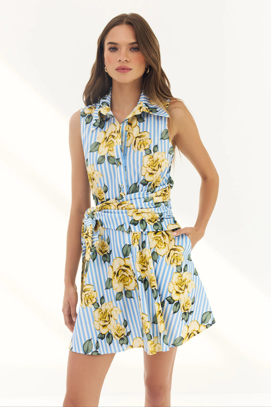 Biltmore Dress - Blue/Yellow Multi Striped Ground Spacious Rose