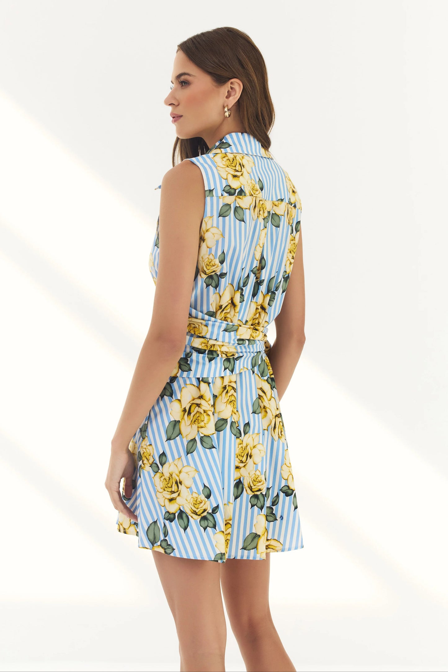 Biltmore Dress - Blue/Yellow Multi Striped Ground Spacious Rose