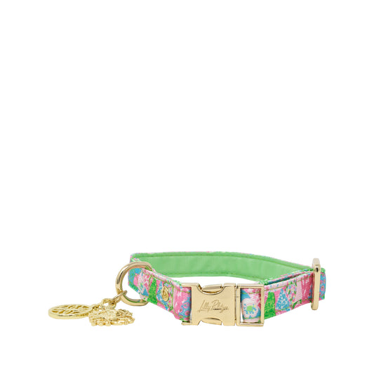Dog Collar - Crazy Quilt Home (S/M)