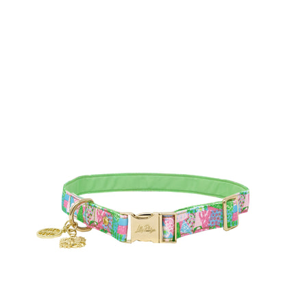 Dog Collar - Crazy Quilt Home (M/L)