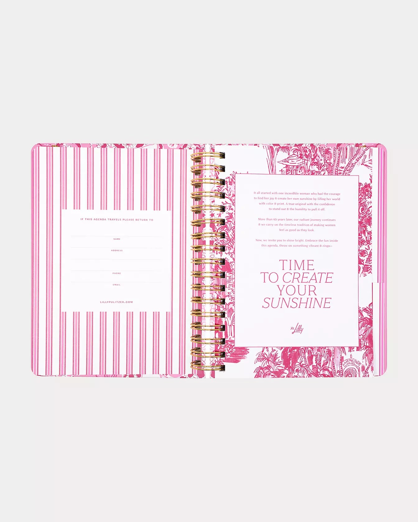 2026-2027 17 Month Large Agenda - Conch Shell Pink Burst of Joy