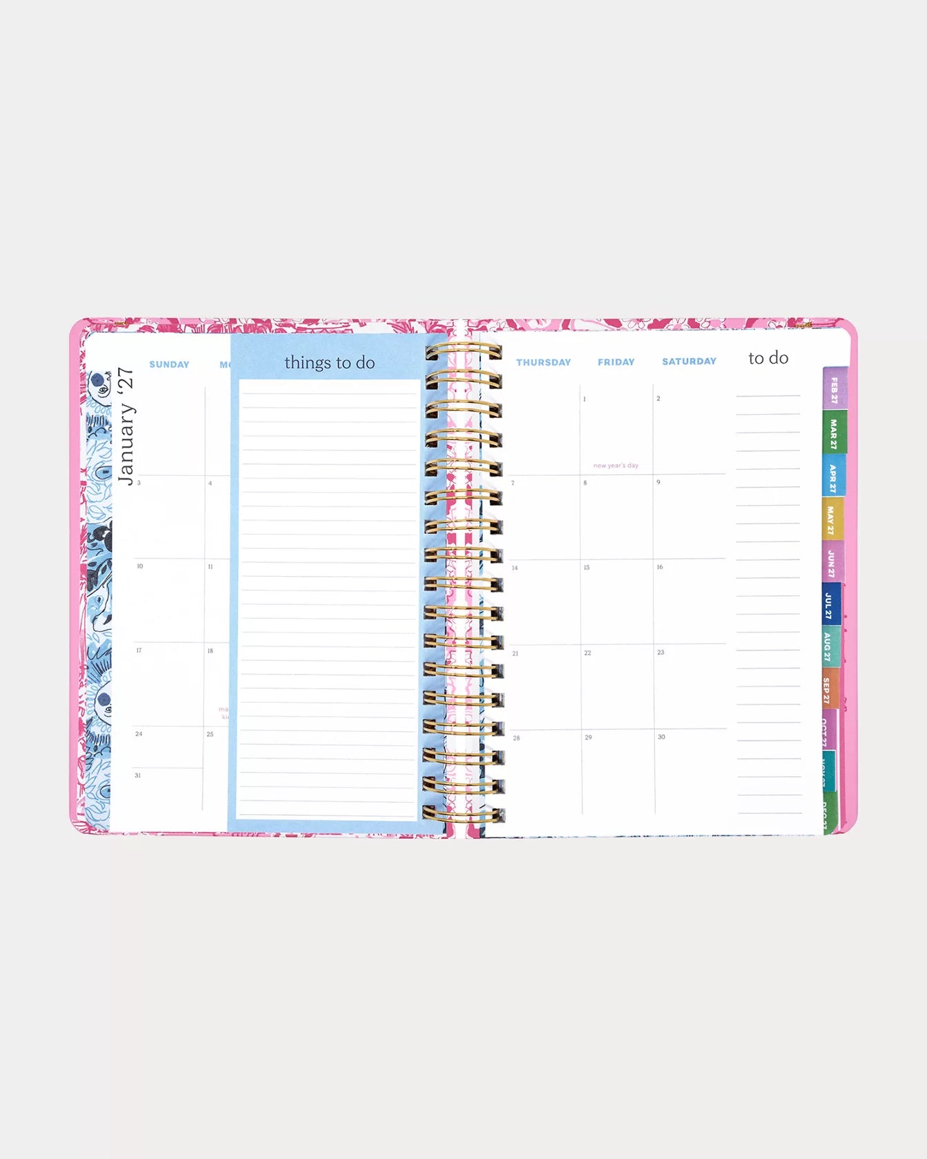 2026-2027 17 Month Large Agenda - Conch Shell Pink Burst of Joy