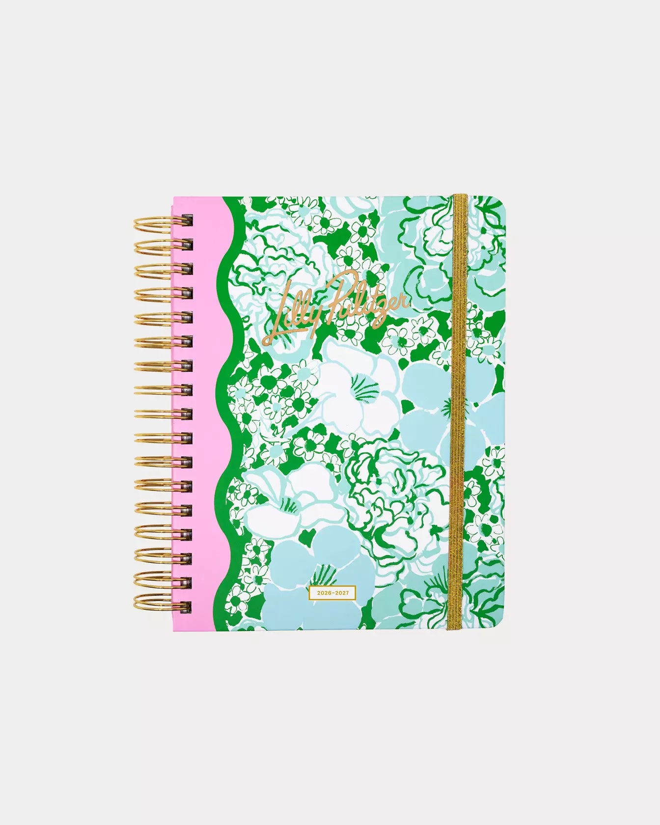 2026-2027 17 Month Large Agenda - Mint Condition Burst of Joy