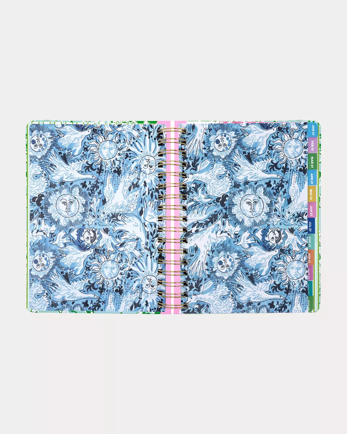 2026-2027 17 Month Large Agenda - Mint Condition Burst of Joy
