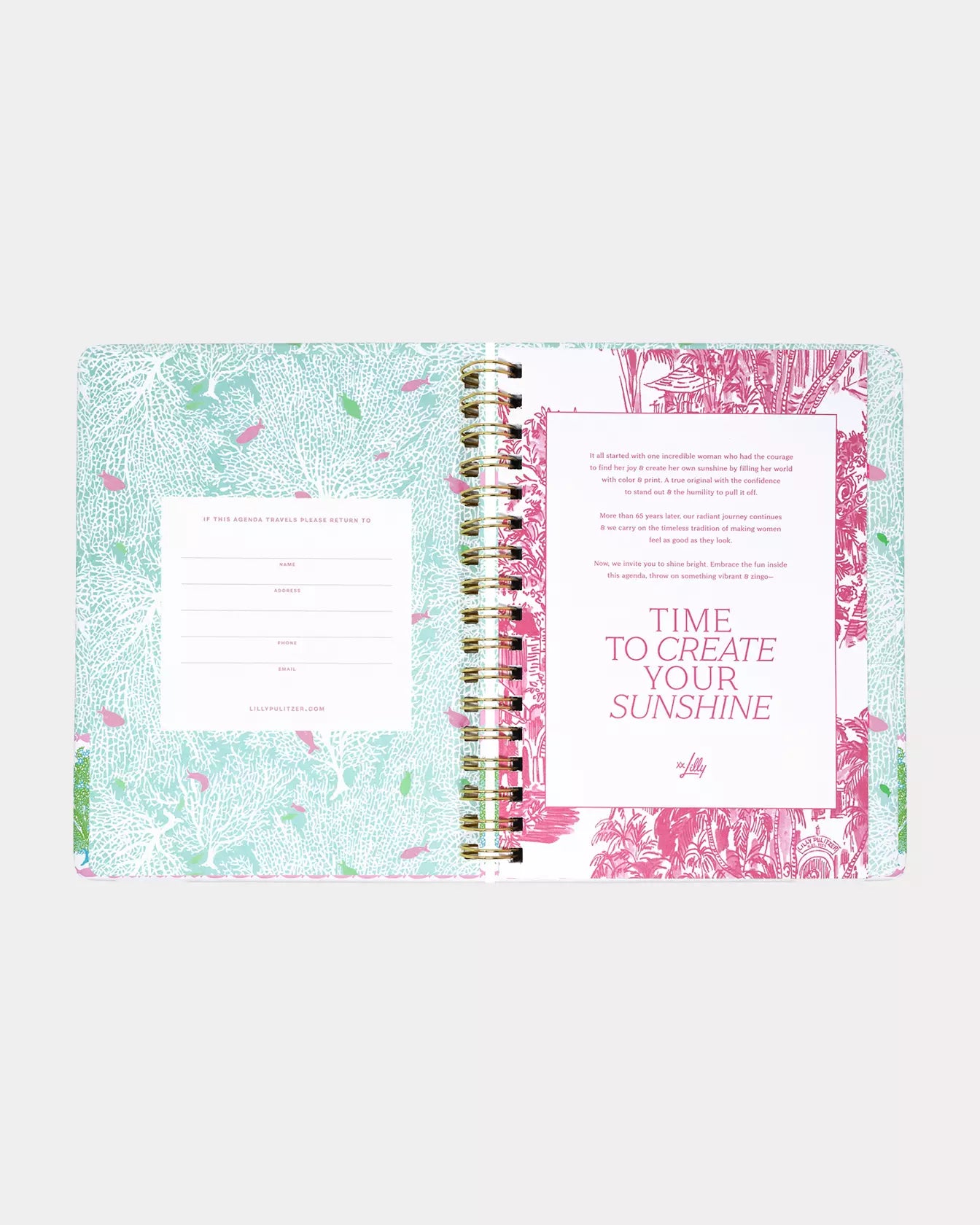 2026-2027 17 Month Large Agenda - Mint Condition Fantastical