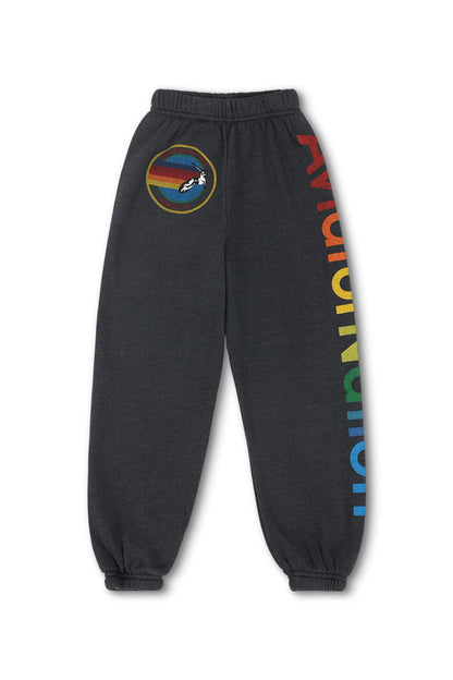 Kid's Aviator Nation Sweatpants - Charcoal