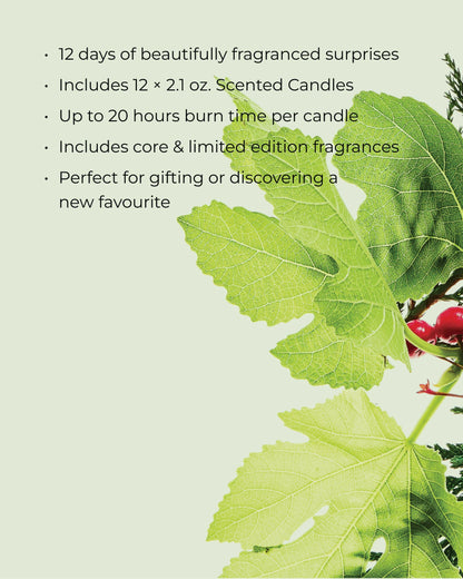 12 Days Advent Calendar Gift Set