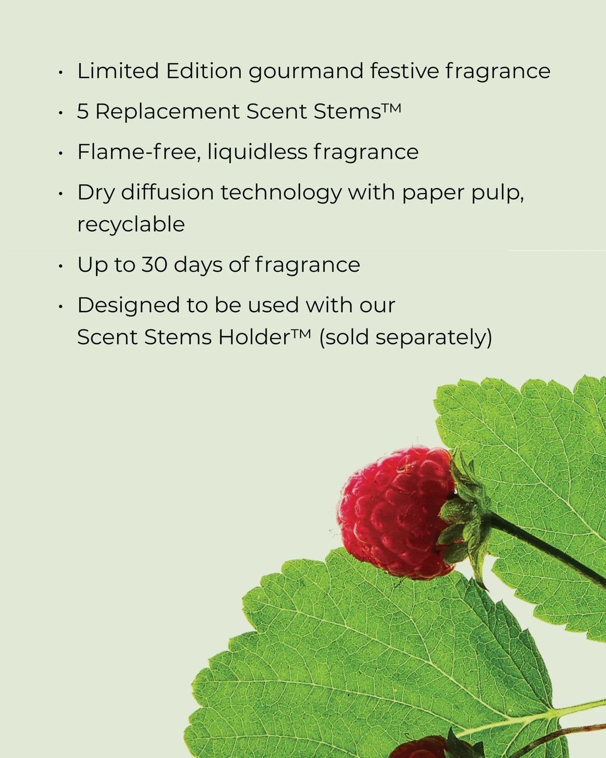 Scent Stems™ Refill - Raspberry & Rhubarb