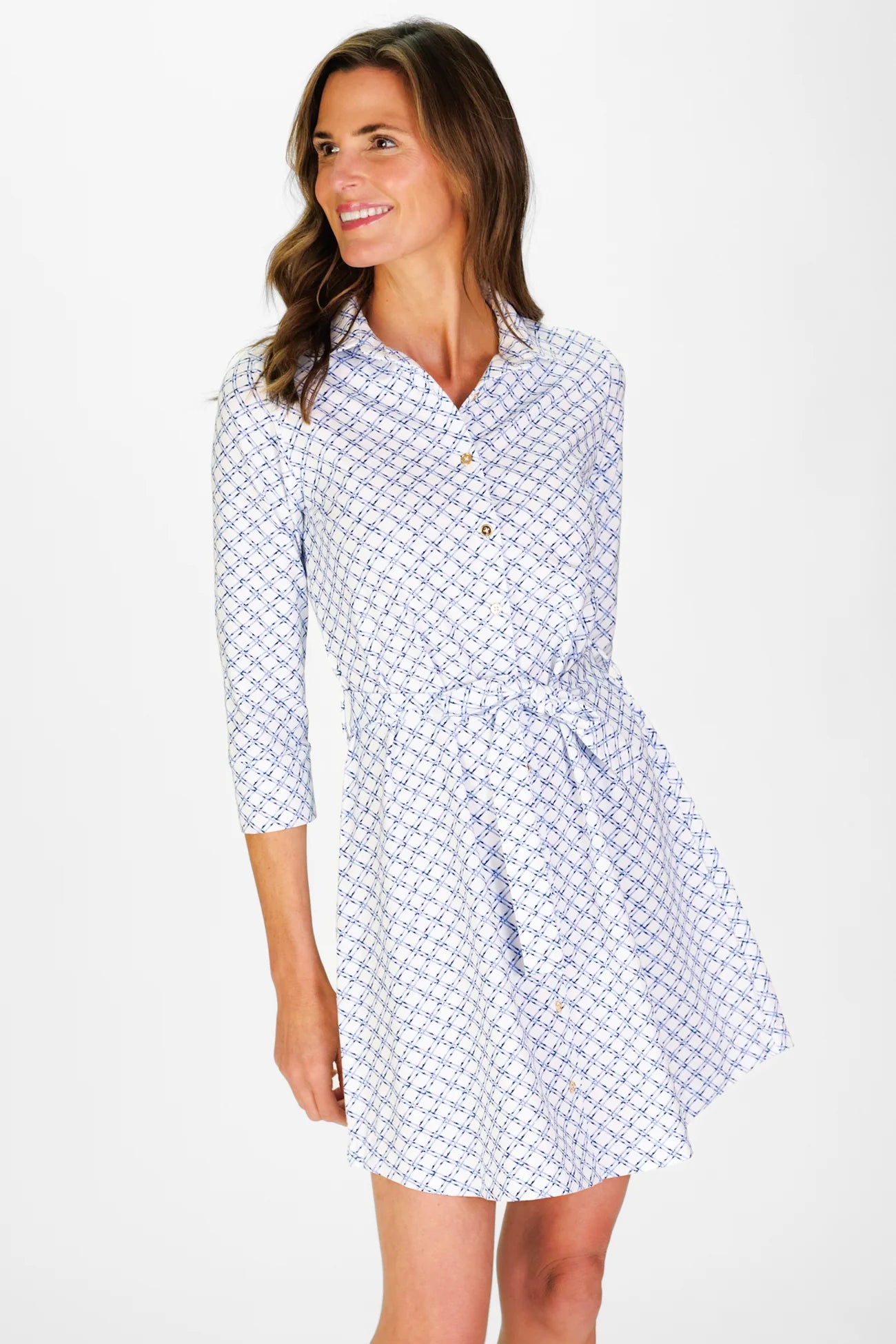 Camila Dress in Cornflower Trellis