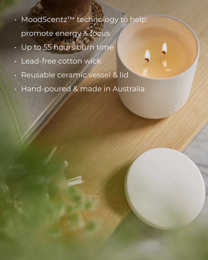 Scented Candle 10.6 oz - Eucalyptus & Bergamot