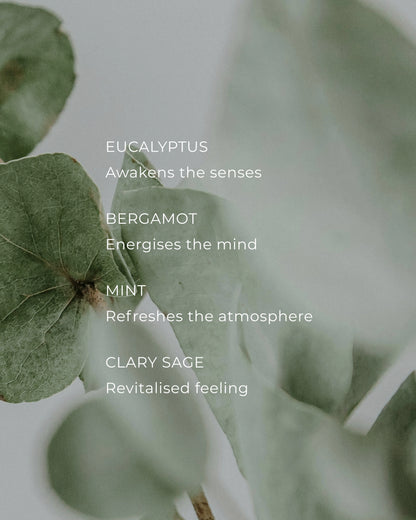 Scented Candle 10.6 oz - Eucalyptus & Bergamot