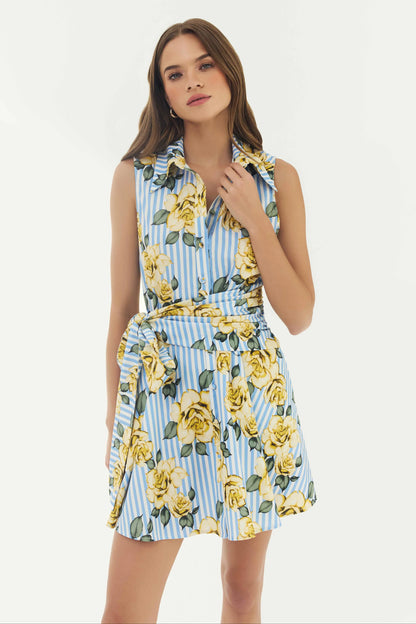 Biltmore Dress - Blue/Yellow Multi Striped Ground Spacious Rose