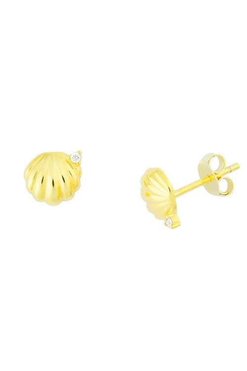 Seashell Gold Studs