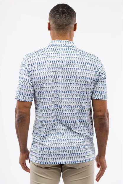 The Harvey Polo - Swing Dance