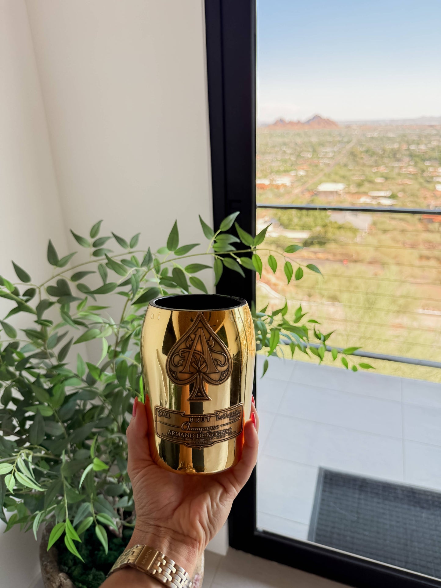 Recycled Ace Candle : Holiday Exclusive: Pomegranate Cider