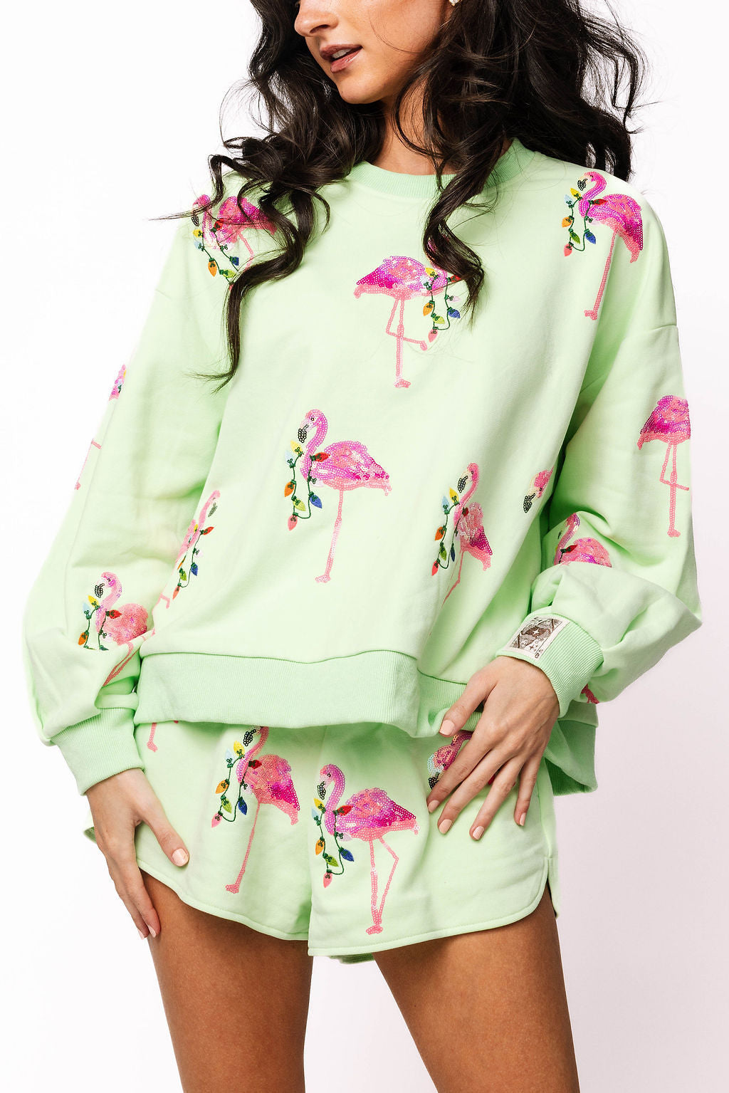 Mint Flamingo Wearing Christmas Light Necklace Sweatshirt