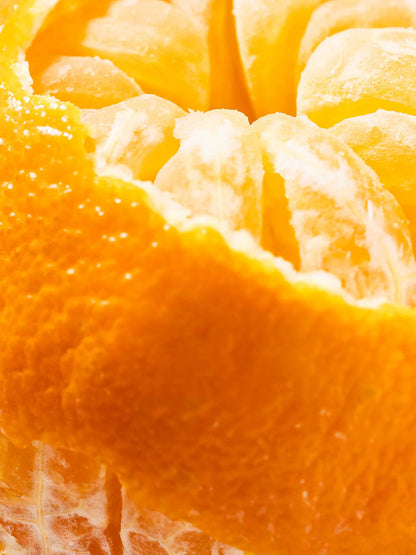 Signature Island Blend Tommy Bahama Refill Smart Vial